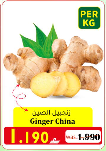 Ginger متوفر لدى القوت هايبرماركت في عُمان - مسقط‎