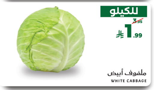 Cabbage متوفر لدى ميرا مارت مول في مملكة العربية السعودية, السعودية, سعودية - جدة