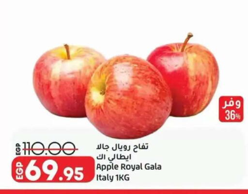 Apple available at Lulu Hypermarket  in Egypt - Cairo