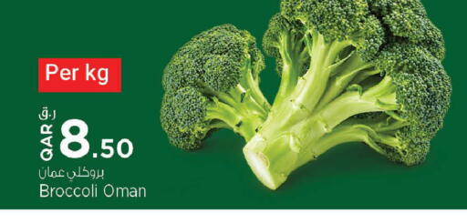 Broccoli available at Nesto in Qatar - Al Khor