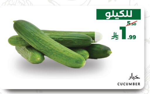 Cucumber available at Mira Mart Mall in KSA, Saudi Arabia, Saudi - Jeddah