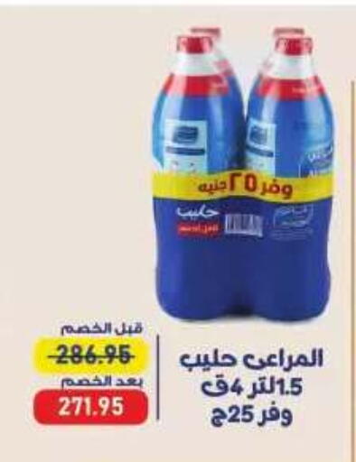 available at Exception Market in Egypt - Cairo
