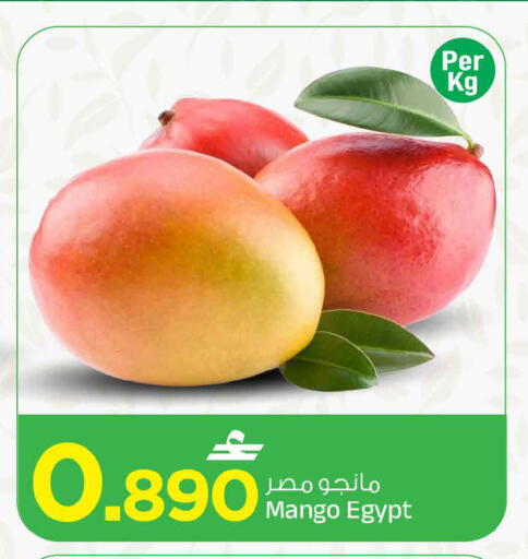 Mango متوفر لدى مارك & سايف في عُمان - مسقط‎