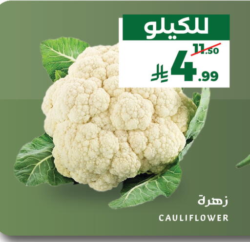 Cauliflower available at Mira Mart Mall in KSA, Saudi Arabia, Saudi - Jeddah
