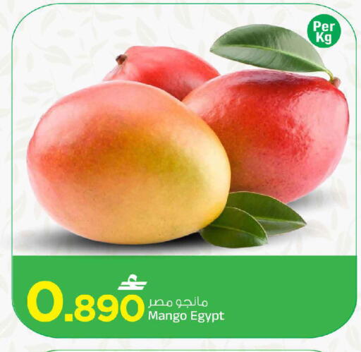 Mango متوفر لدى مارك & سايف في عُمان - مسقط‎