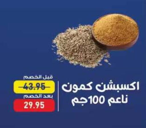 متوفر لدى اكسبشن ماركت في Egypt - القاهرة