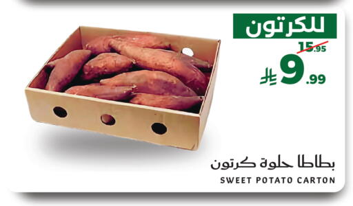 Sweet Potato متوفر لدى ميرا مارت مول في مملكة العربية السعودية, السعودية, سعودية - جدة