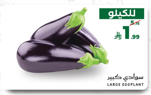 Eggplant available at Mira Mart Mall in KSA, Saudi Arabia, Saudi - Jeddah