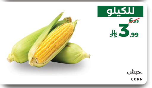 available at Mira Mart Mall in KSA, Saudi Arabia, Saudi - Jeddah
