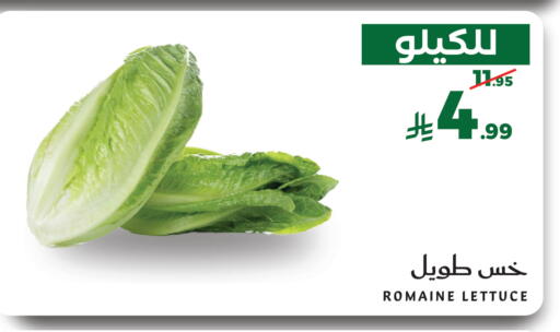 Lettuce available at Mira Mart Mall in KSA, Saudi Arabia, Saudi - Jeddah