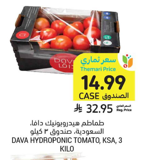 Tomato available at Tamimi Market in KSA, Saudi Arabia, Saudi - Jeddah