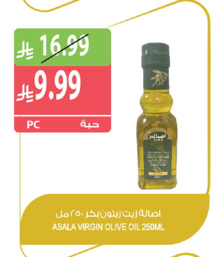 متوفر لدى المزرعة في مملكة العربية السعودية, السعودية, سعودية - الخرج