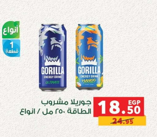 Mango متوفر لدى بنده في Egypt - القاهرة