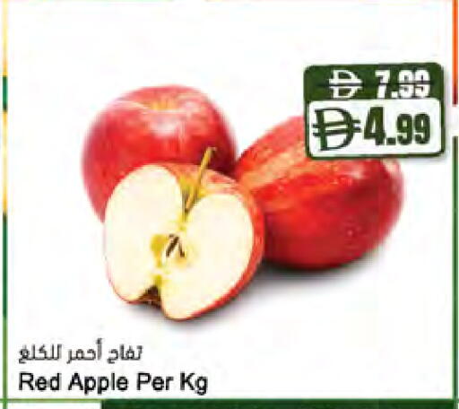 Apple متوفر لدى المايا سوبرماركت في الإمارات العربية المتحدة , الامارات - رَأْس ٱلْخَيْمَة