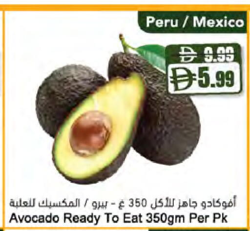 Avocado متوفر لدى المايا سوبرماركت في الإمارات العربية المتحدة , الامارات - ٱلْعَيْن‎