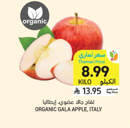 Apple available at Tamimi Market in KSA, Saudi Arabia, Saudi - Jeddah