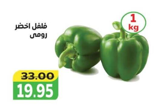 available at The Mart  in Egypt - Cairo