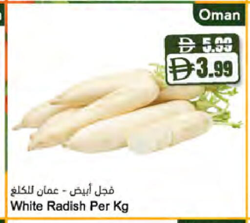 Radish متوفر لدى المايا سوبرماركت في الإمارات العربية المتحدة , الامارات - ٱلْعَيْن‎