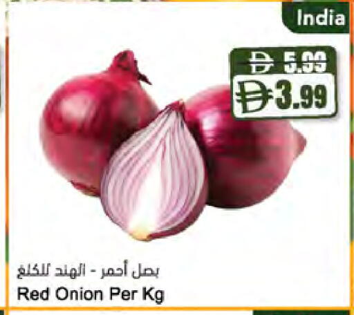 Onion available at Almaya Supermarkets in UAE - Dubai