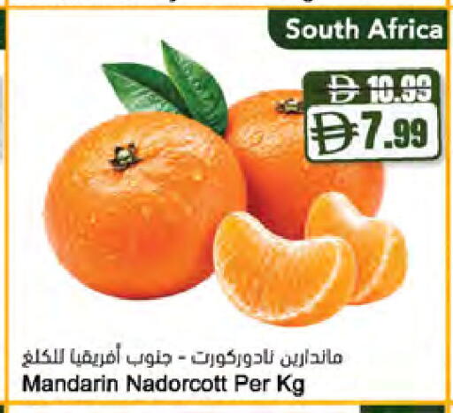 Mandarin متوفر لدى المايا سوبرماركت في الإمارات العربية المتحدة , الامارات - ٱلْعَيْن‎