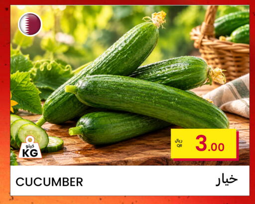 Cucumber available at Al Baladi Al Yawm in Qatar - Al Shamal