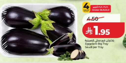 Eggplant available at LULU Hypermarket in KSA, Saudi Arabia, Saudi - Al-Kharj