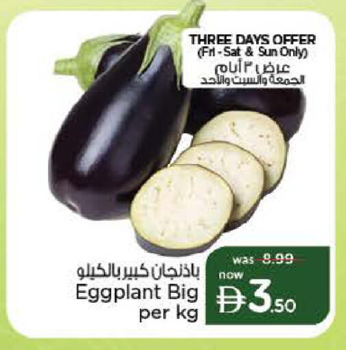 Eggplant متوفر لدى نستو هايبرماركت في الإمارات العربية المتحدة , الامارات - ٱلْعَيْن‎