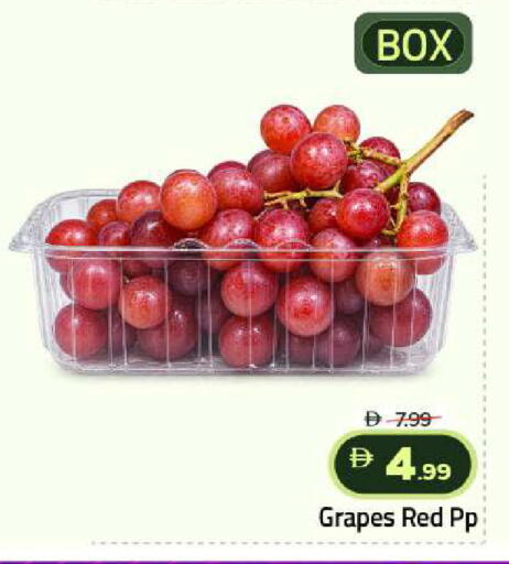 Grapes متوفر لدى مارك & سيف في الإمارات العربية المتحدة , الامارات - أبو ظبي