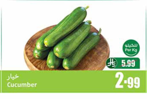 Cucumber available at Othaim Markets in KSA, Saudi Arabia, Saudi - Khamis Mushait