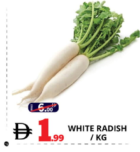 Radish available at EXPRESS AL MADEENA HYPERMARKET LLC in UAE - Dubai