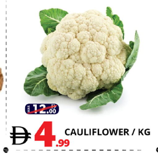 Cauliflower available at EXPRESS AL MADEENA HYPERMARKET LLC in UAE - Dubai