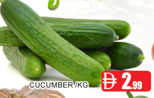 Cucumber متوفر لدى عين المدينة هايبرماركت في الإمارات العربية المتحدة , الامارات - الشارقة / عجمان