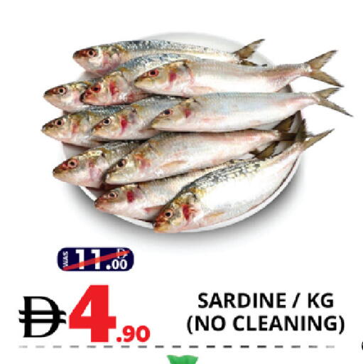 available at EXPRESS AL MADEENA HYPERMARKET LLC in UAE - Dubai