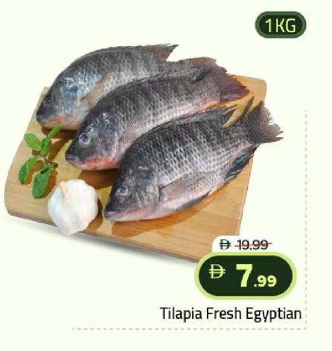 available at Mark & Save in UAE - Abu Dhabi