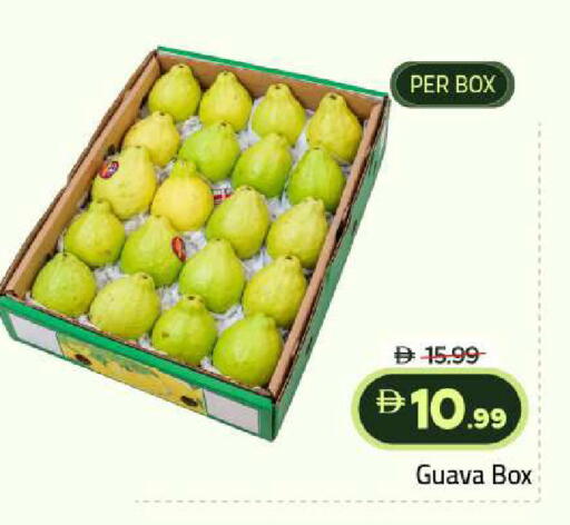 Guava متوفر لدى مارك & سيف في الإمارات العربية المتحدة , الامارات - أبو ظبي