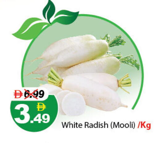 Radish available at DESERT FRESH MARKET  in UAE - Abu Dhabi