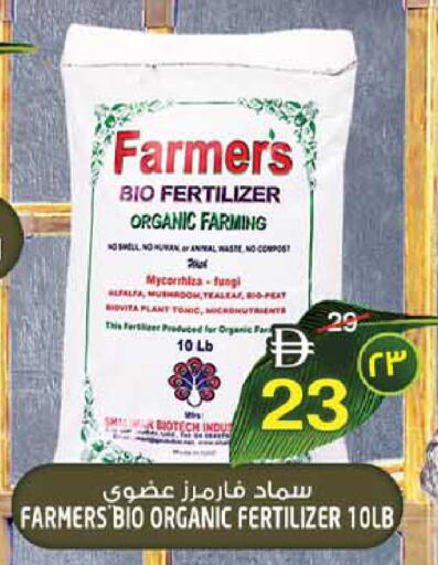 Alfalfa Mushroom available at سفاري هايبرماركت in الإمارات العربية المتحدة , الامارات - الشارقة / عجمان