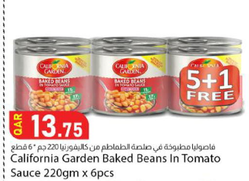 Tomato available at Dana Market in Qatar - Al Wakra