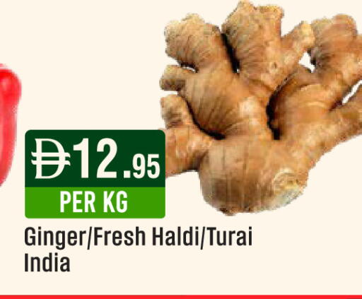 Ginger from India available at ويست زون سوبرماركت in الإمارات العربية المتحدة , الامارات - الشارقة / عجمان