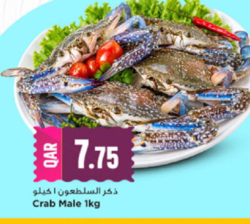 available at مرزا هايبرماركت in قطر - الوكرة