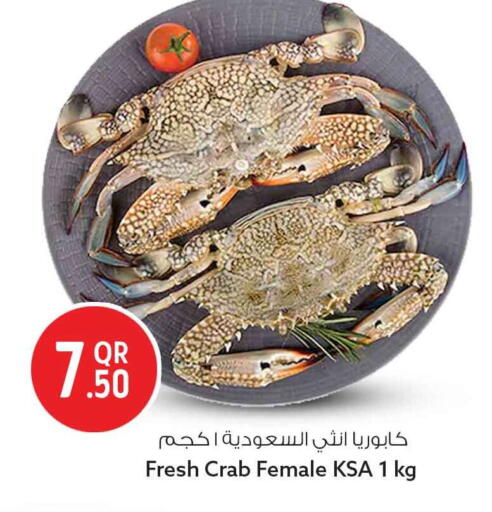 available at سفاري هايبر ماركت in قطر - الريان