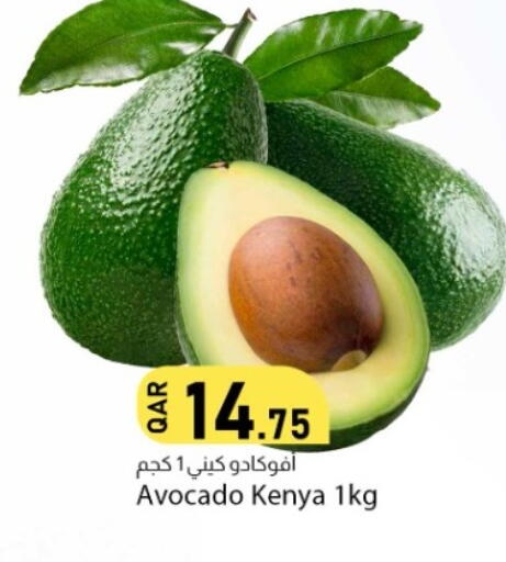 Avocado from Kenya available at Dana Market in Qatar - Al-Shahaniya