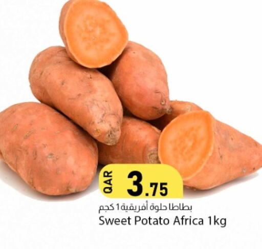 Sweet Potato available at Dana Market in Qatar - Al-Shahaniya