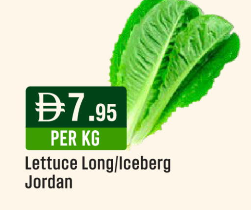 Lettuce from Jordan available at ويست زون سوبرماركت in الإمارات العربية المتحدة , الامارات - الشارقة / عجمان