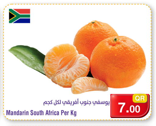 Mandarin from South Africa available at Megamart in Qatar - Doha