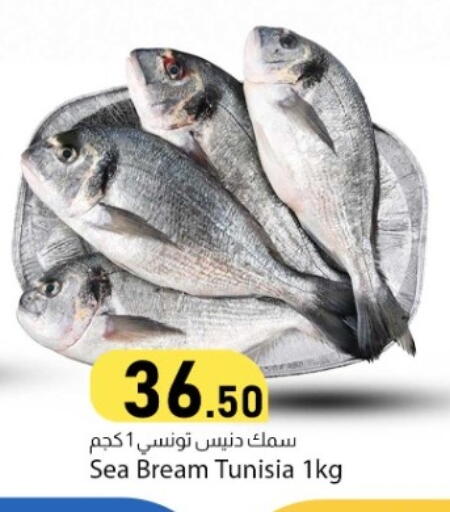 available at Dana Market in Qatar - Al-Shahaniya