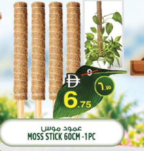available at Safari Hypermarket in UAE - Sharjah / Ajman