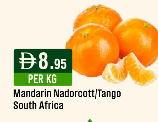 Mandarin from South Africa available at ويست زون سوبرماركت in الإمارات العربية المتحدة , الامارات - الشارقة / عجمان
