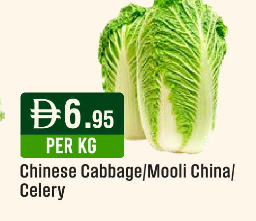 Cabbage Celery from China available at ويست زون سوبرماركت in الإمارات العربية المتحدة , الامارات - الشارقة / عجمان