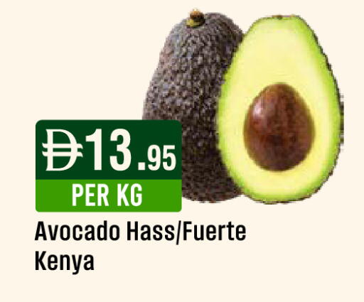Avocado from Kenya available at West Zone Supermarket in UAE - Abu Dhabi